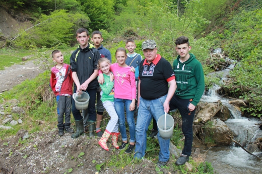Нещодавно у селі Косівська Поляна на Рахівщині відбулася акція із зариблення річок мальком струмкової форелі.