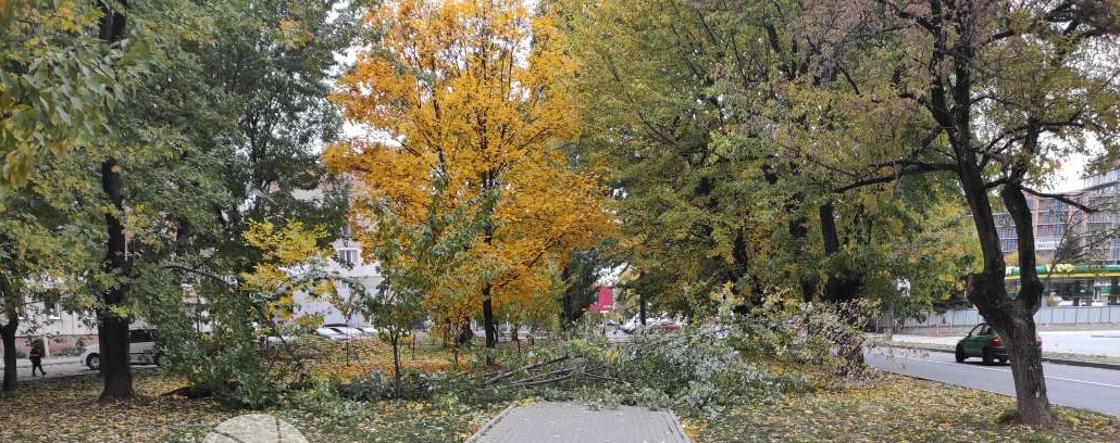 На Капушанській дерево впало на тротуар.