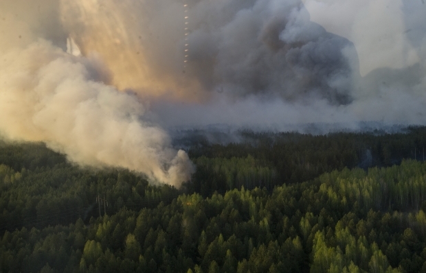 Рятувальники ліквідували пожежу на території комплексу лісового господарства 