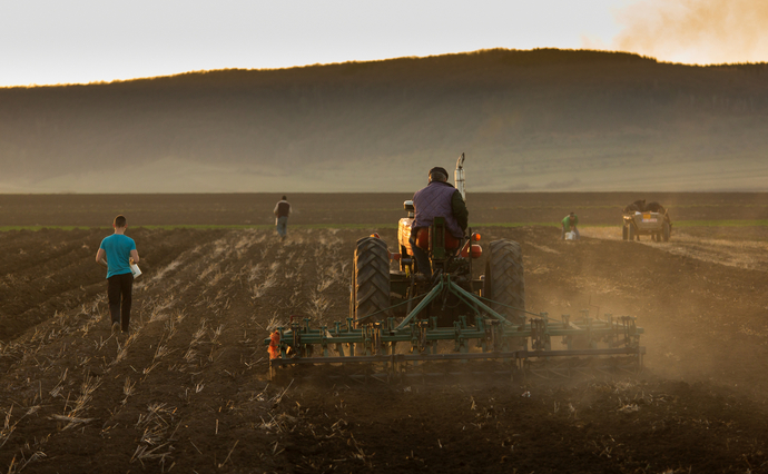 В Україні уклали 4 116 земельних угод станом на 6 серпня. Про це повідомили на офіційному сайті Міністерства аграрної політики.