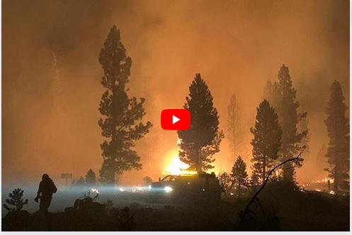 Житель США влаштував велику лісову пожежу, коли намагався розправитися з пауком. Про це повідомляє видання ABC4.